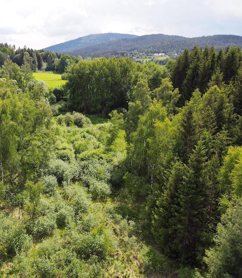 Wildgatter Ferienappartements Grafenwiesen Eksteriør bilde