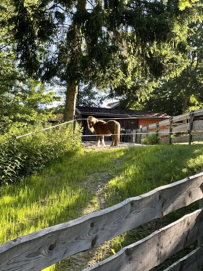 Wildgatter Ferienappartements Grafenwiesen Eksteriør bilde